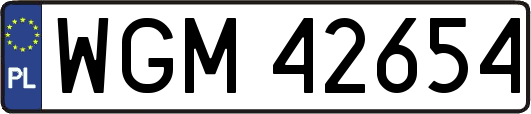 WGM42654