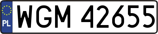 WGM42655