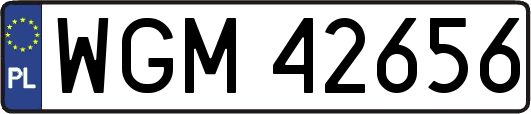 WGM42656