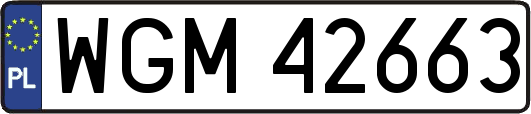 WGM42663