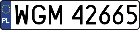 WGM42665
