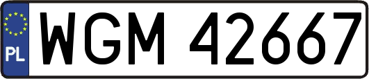 WGM42667