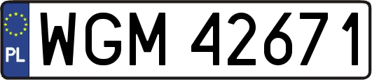 WGM42671