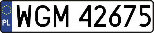 WGM42675