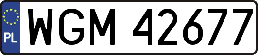 WGM42677