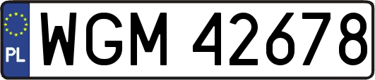 WGM42678