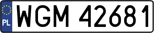 WGM42681