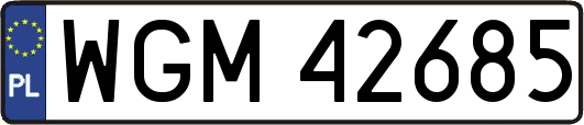 WGM42685