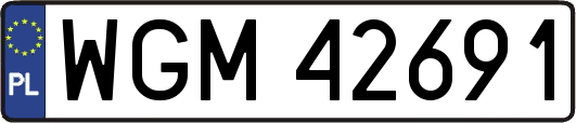 WGM42691