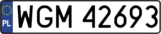 WGM42693