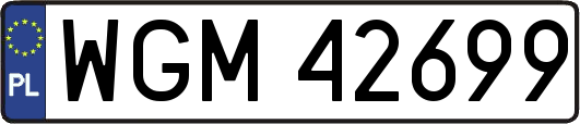 WGM42699