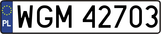 WGM42703