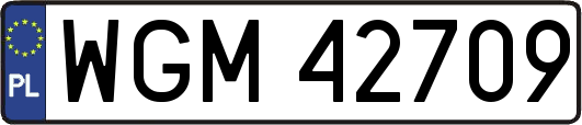 WGM42709