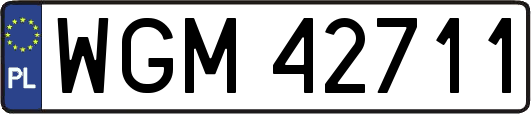 WGM42711
