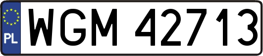 WGM42713