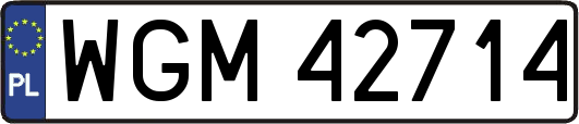 WGM42714