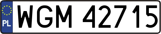 WGM42715