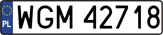 WGM42718