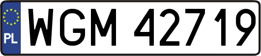 WGM42719