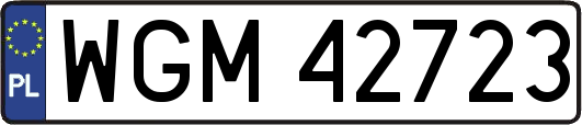 WGM42723