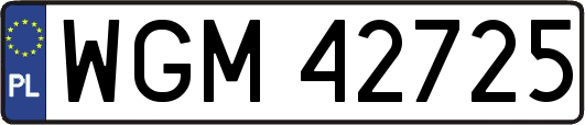 WGM42725