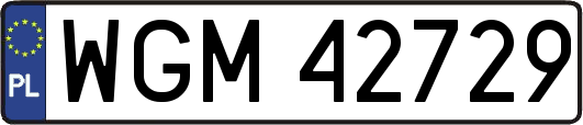 WGM42729
