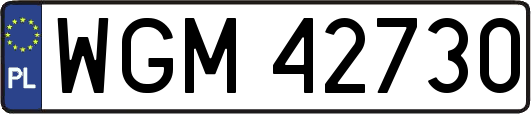 WGM42730