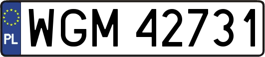 WGM42731