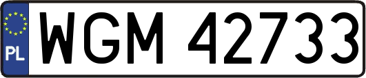 WGM42733