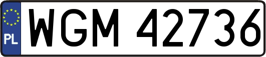 WGM42736