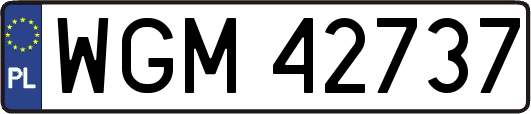 WGM42737