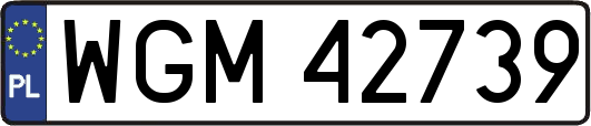 WGM42739