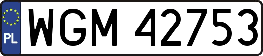 WGM42753