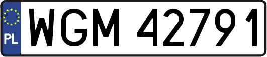 WGM42791