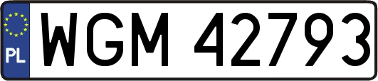 WGM42793