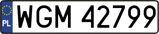 WGM42799