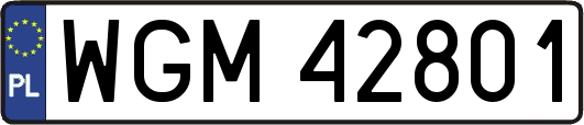 WGM42801