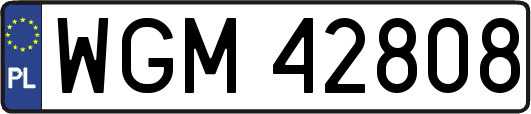 WGM42808