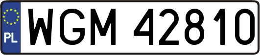 WGM42810