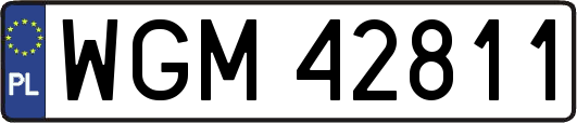 WGM42811