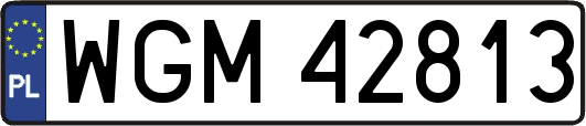 WGM42813
