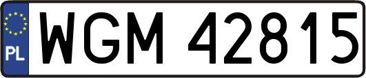WGM42815