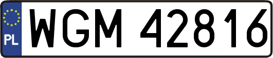 WGM42816