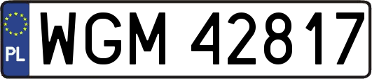 WGM42817