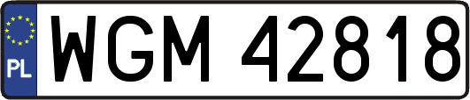 WGM42818