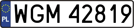 WGM42819