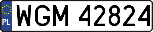 WGM42824