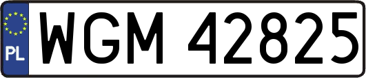 WGM42825