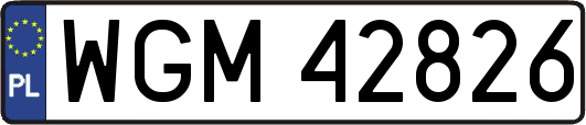 WGM42826