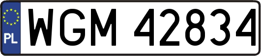 WGM42834